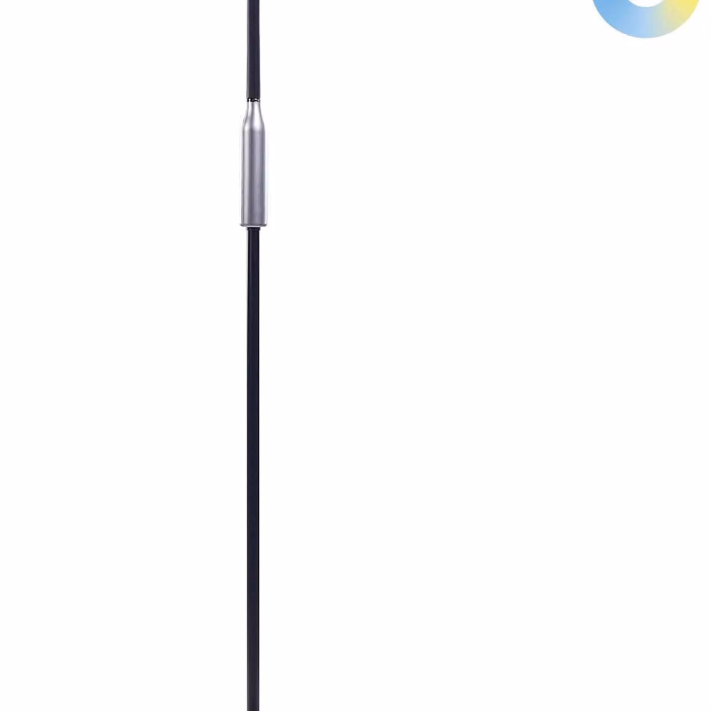 Wyld and Coco Black Dimmable LED Ring Floor Lamp, Height: 148 cm – 2