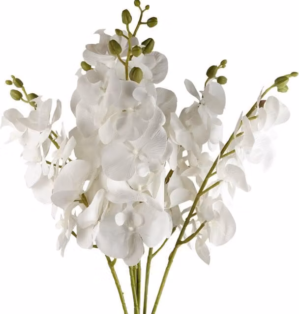 White Artificial Phalaenopsis Orchid Stems with Leaves