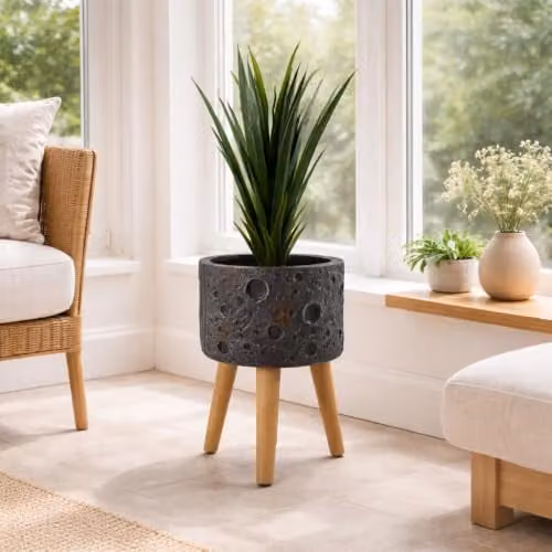 Botanik Luxury Indoor Planter Cachepot, Black, Round Tabletop Design, W/D/H: 25 x 25 x 18 cm – 2