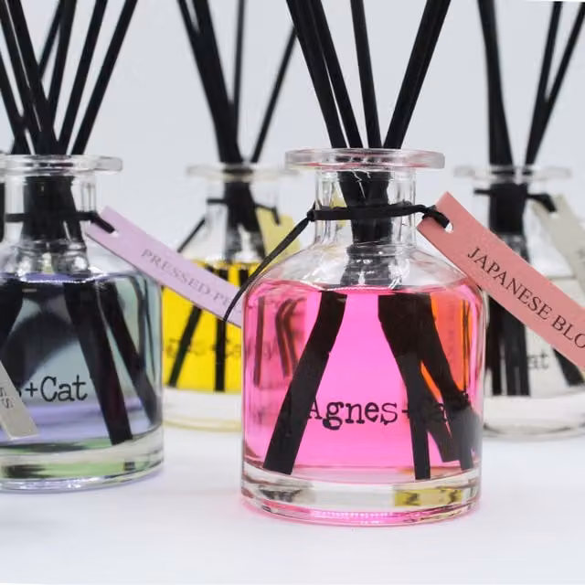Agnes Cats Provence Reed Diffuser with Fresh Herbal Amber Scent in Grey Glass