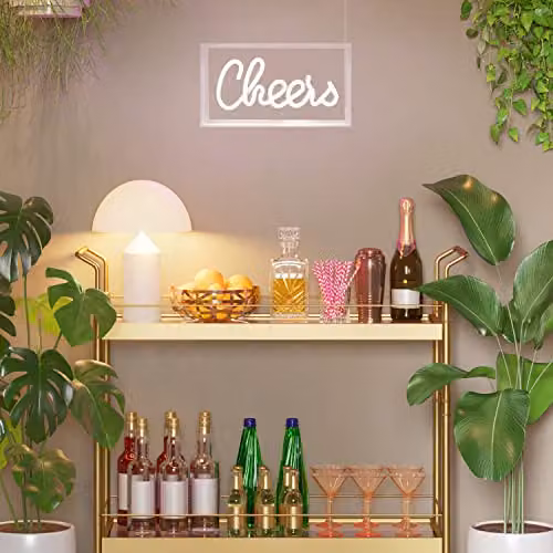 Global Gizmos Cheers LED Neon Sign, White Acrylic Box Light with USB Power – 4