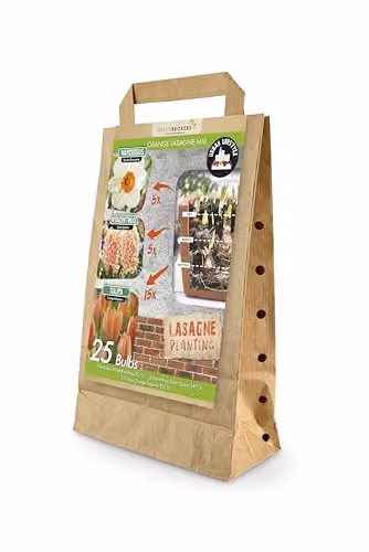 GreenBrokers Orange Lasagne Mix of 25 Bee Friendly Spring Flower Bulbs including Narcissus Barret Browning, Hyacinthus Gipsy Queen and Tulipa Orange Emperor