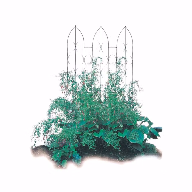 Poppyforge Triple Gothic Steel Trellis Screen in Black, W: 91.4 cm, H: 180 cm