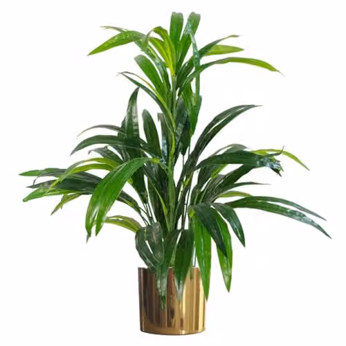 Botanik Premium Artificial Green Bamboo Shrub Plant with Gold Planter, Height: 65 cm – 1