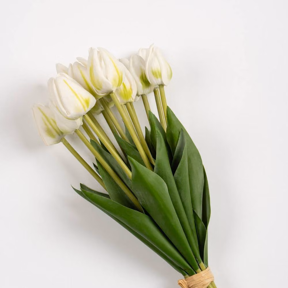 Scottish Everlastings Ltd White Tulip Bundle, 14 Stems, 40 cm – 2