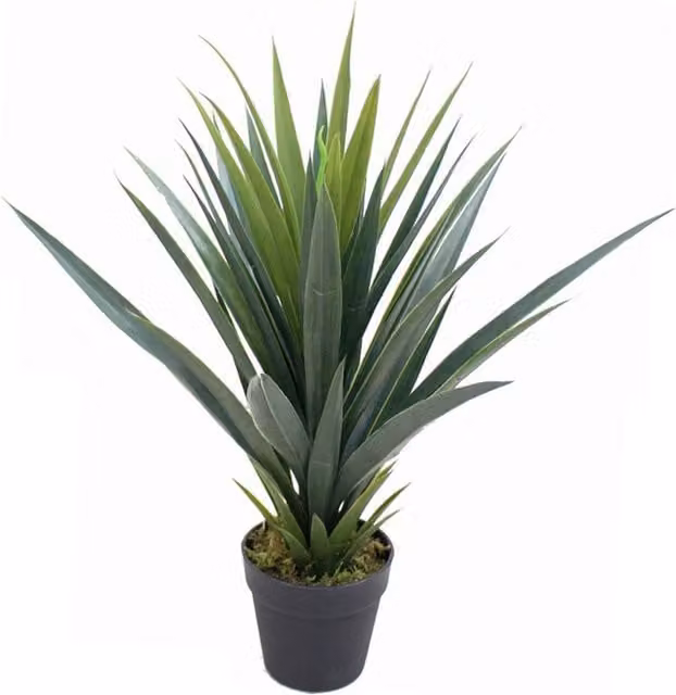 Artificial Green Agave Succulent Potted Plant with Spiky Tropical Leaves in a Black Tabletop Pot