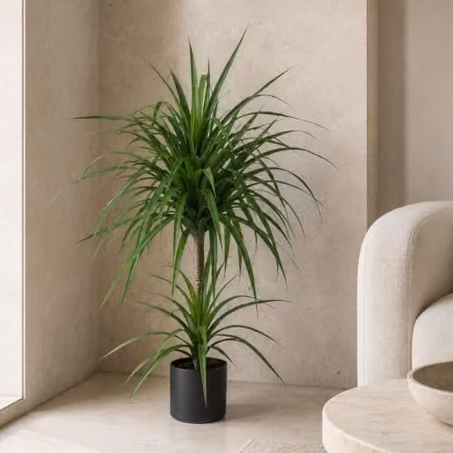 LeafUK Artificial Yucca Tropical House Plant in Green, Potted – 1