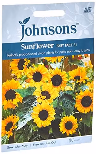 Johnsons Sunflower Baby Face F1 Yellow Flower Seeds