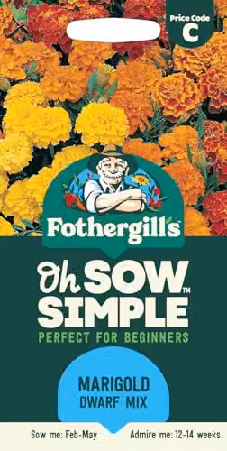 Mr Fothergill's Oh Sow Simple Marigold Dwarf Mix Flower Seeds in Orange, Yellow and Red – 1