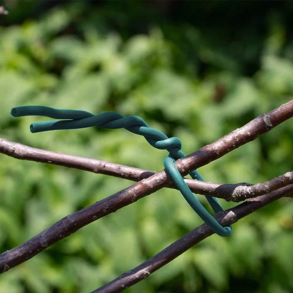 NESTLUNE Green Coated Iron Garden Plant Support Wire Coil, 100m x 3.1mm, 1.25kg – 5