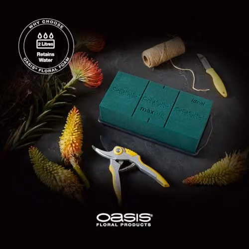 OASIS Green Rectangular Floral Foam Brick for Flower Crafts (Pack of 1) – 2