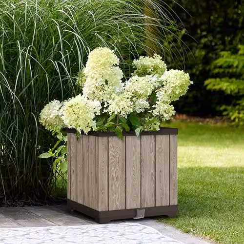 Keter Signature Square Planter in Brown, Self-Watering Plastic Tub for Indoor and Outdoor Use – 2