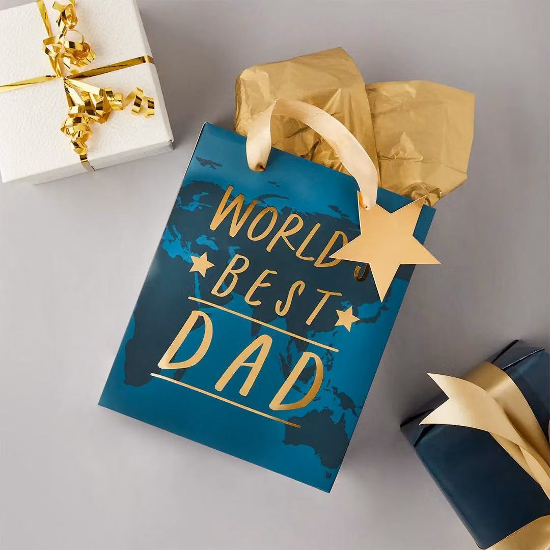 Club Green World's Best Dad Paper Gift Bag, Multicolour and Blue, Pack of 1 – 2