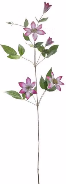 KDMD Lavender and White Snowy Clematis Floral Arrangement, Height: 78 cm