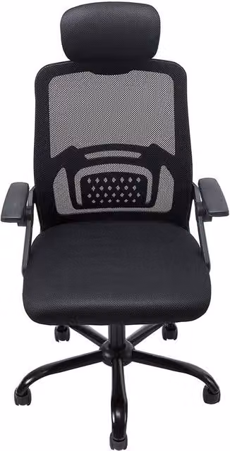 Garden Sanctuary Ergonomic Mesh Office Chair with Headrest and Armrests in Black – 1