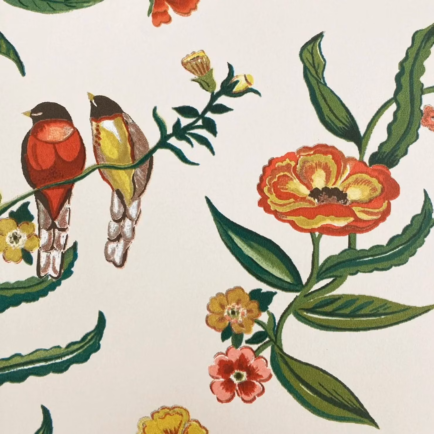 Cath Kidston Birds Floral and Botanical Wallpaper in Cream and Multicolour – 3