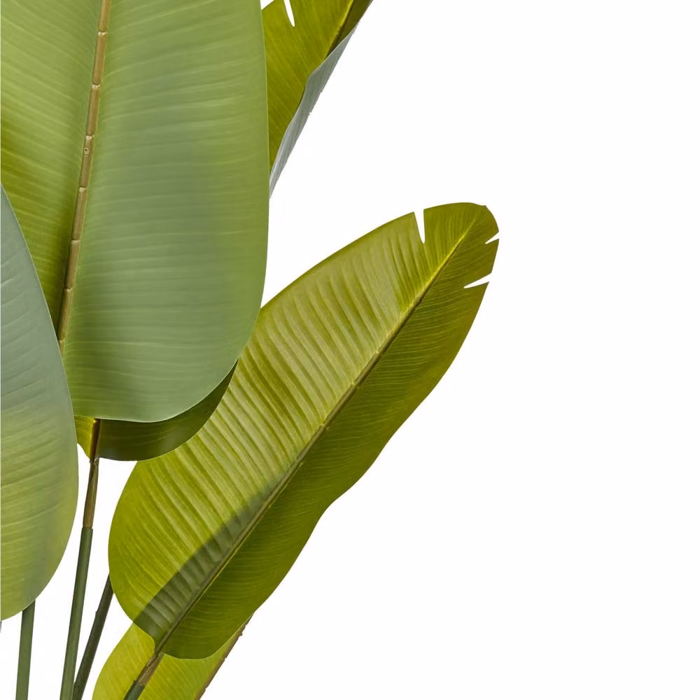 Wyld and Coco Artificial Banana Tree, Green, Height: 187 cm – 3