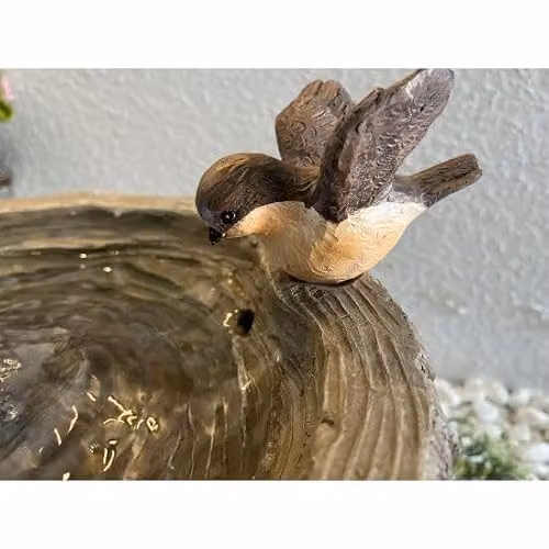 Tranquility Bird on Log Mains Power Tabletop Water Feature in Natural Brown Resin – 3