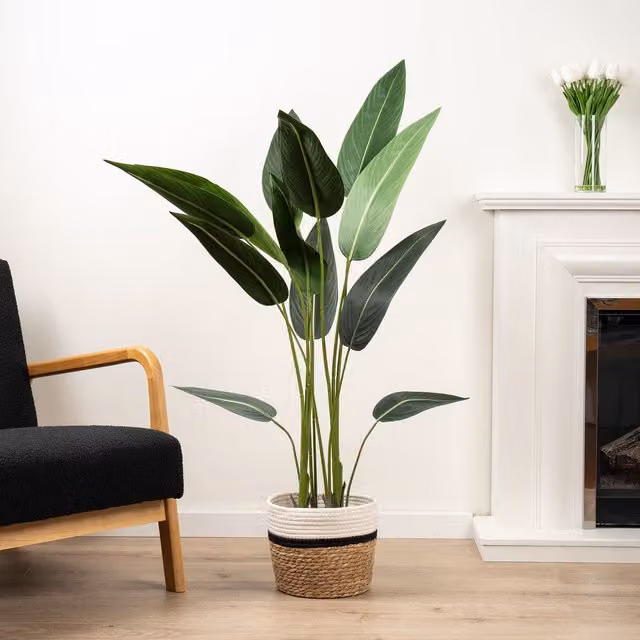 Scottish Everlastings Ltd 130 cm Green Bird of Paradise Tree – 1