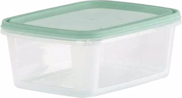 Wham Everyday Food Storage Box Pack of 5 Green Transparent Plastic with Snap Lid, Microwave and Freezer Safe