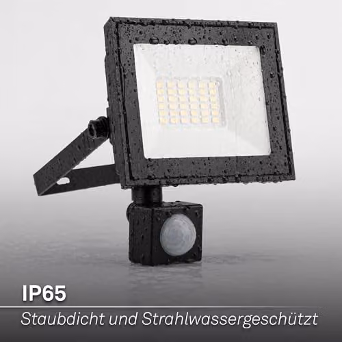 Briloner Black LED Outdoor Floodlight with Motion and Dusk Sensor, 30W, 2700lm, IP65, W/D/H: 19 x 19 x 4 cm – 7