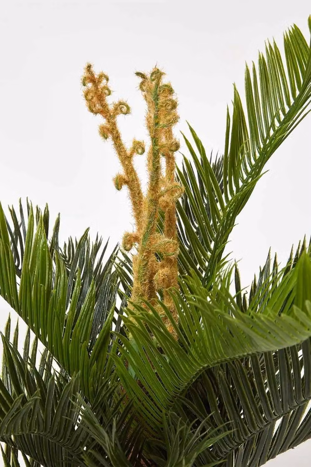 Homescapes Green Sago Palm Artificial Cycas Plant with Black Pot, Height: 75 cm – 3