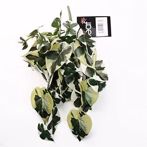 Leaf 40cm Artificial Trailing Variegated Marble Pothos Plant in Green