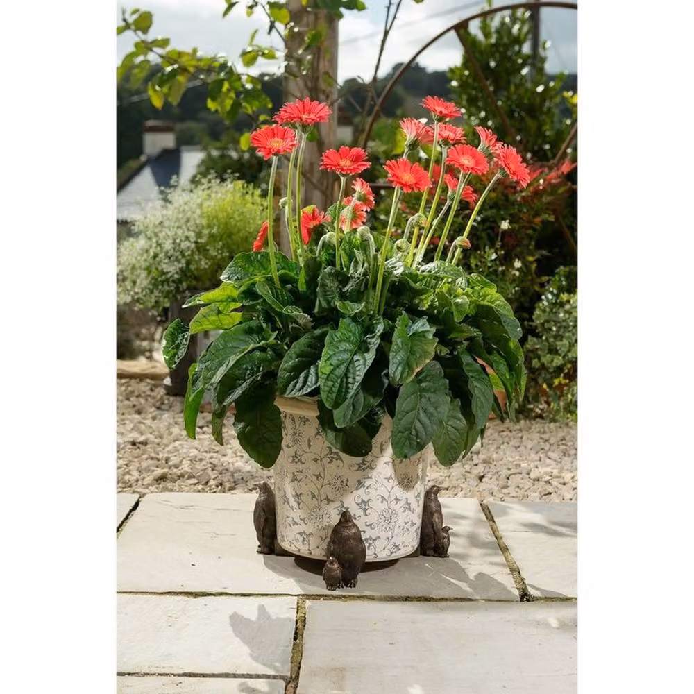 Jardinopia Potty Feet Emperor Penguin Plant Pot Feet in Bronze, Set of 3, L9.3 x W6 x H11.2 cm – 4