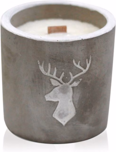 KDMD Med Pot Stag Head Concrete Tabletop Planter in Grey with Whiskey and Woodsmoke Scent