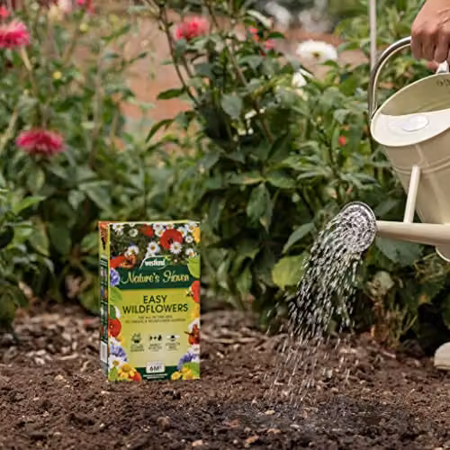 Unwins Natures Haven Easy Wildflower Mix Multicolour Flower Seeds, 1.2kg – 3