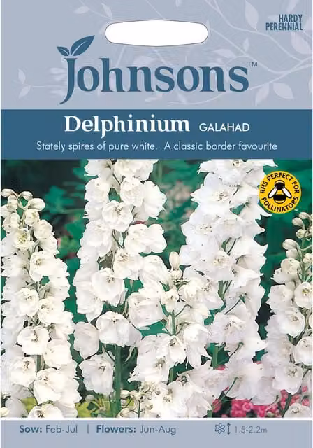 Johnsons White Delphinium Galahad Ornamental Flower Seeds