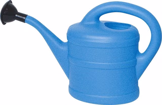 Green Wash Manual Plastic Watering Can in Blue and Black