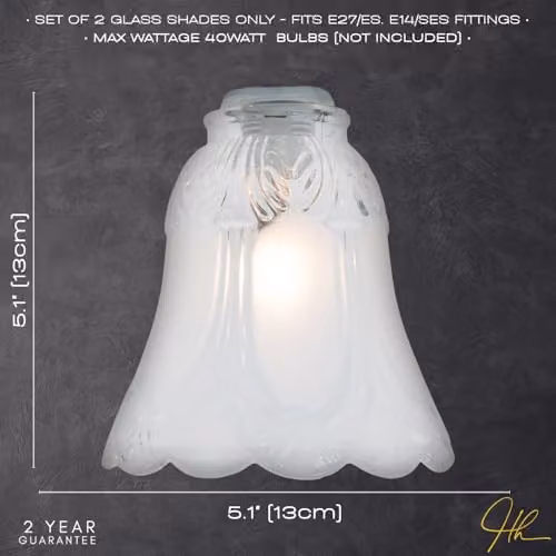 Happy Homewares Classic Pair of Round Glass Lamp Shades with Floral Design in White and Transparent, Diameter: 13 cm – 2