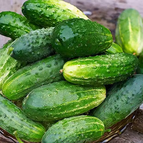 Thompson and Morgan Cucumber Goblin F1 Hybrid Snack Size Vegetable Seeds