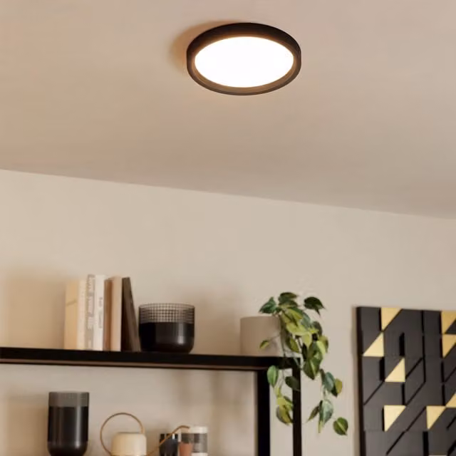 Eglo Basic Idun-E Black Round Glass Ceiling Light – 1