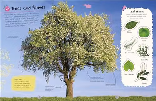 DK RHS Ultimate Sticker Book Trees and Leaves New Edition Multicolour