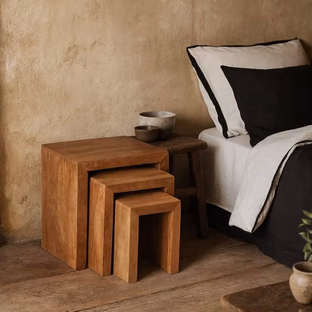Wyld Haus Set of 3 Manila Light Mango Wood Nesting Tables in Brown