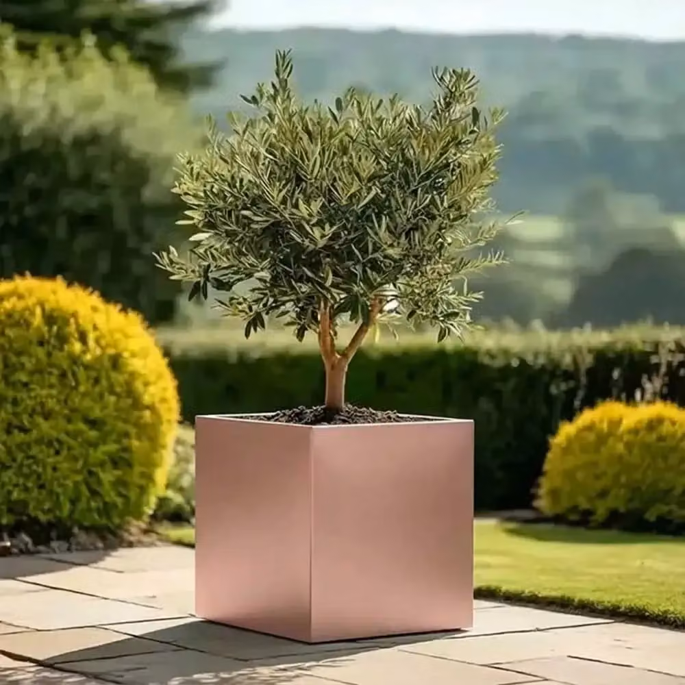 Tulipy Gold Galvanised Steel Square Planter Tub W: 50 cm, D: 50 cm, H: 50 cm – 7