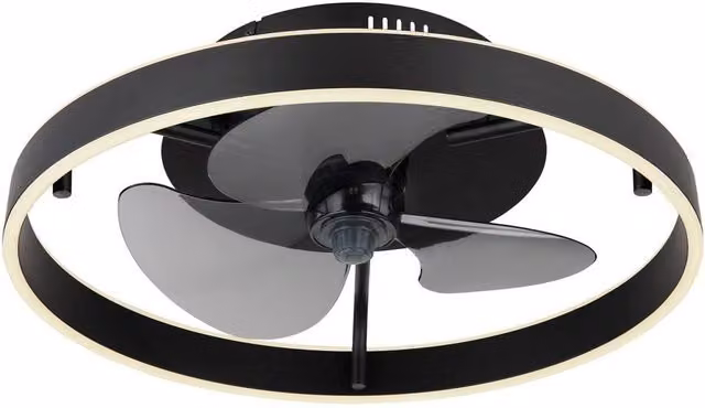Netlighting Globo Lighting Dimmable LED Ceiling Fan with Remote Control and Timer, Black, D x H: 50 x 14.5 cm – 5