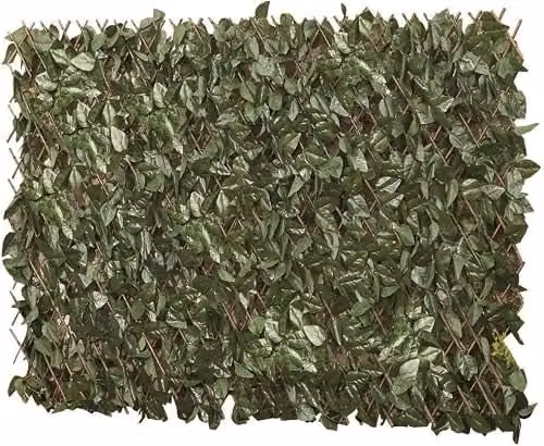 Garden Gear Artificial Hedge Ivy Leaf Privacy Screening Panel, Green and Brown, W: 200 cm, H: 100 cm