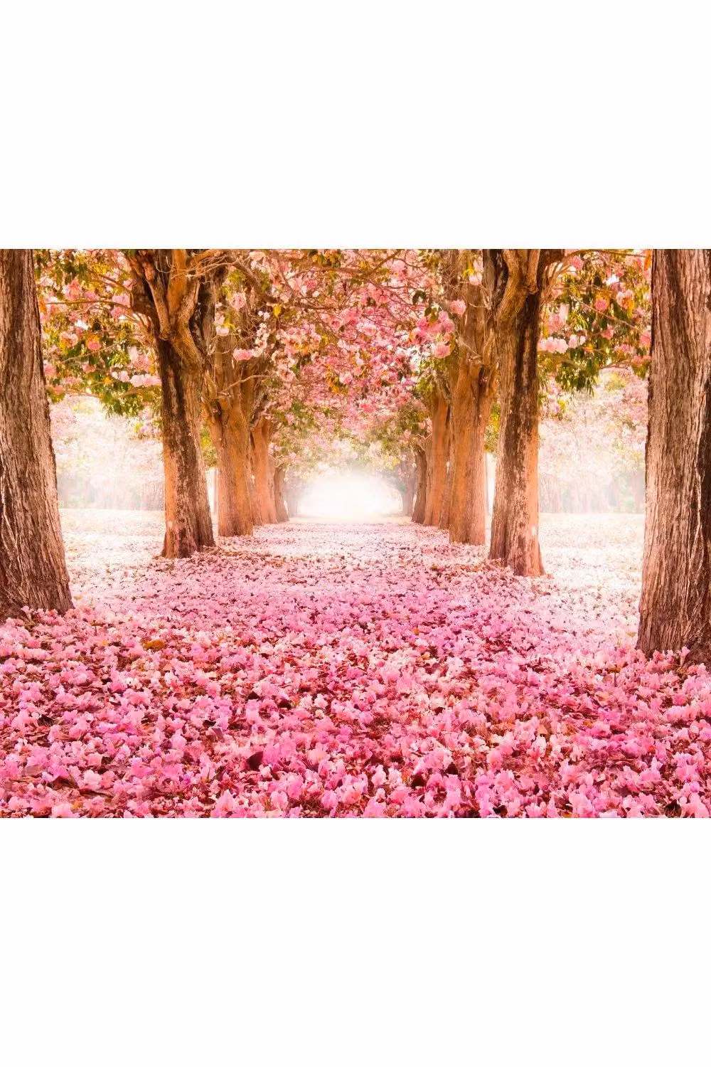 Origin Murals Blossom Trees Floral Wall Mural in Pink, W: 300 cm x H: 240 cm – 2