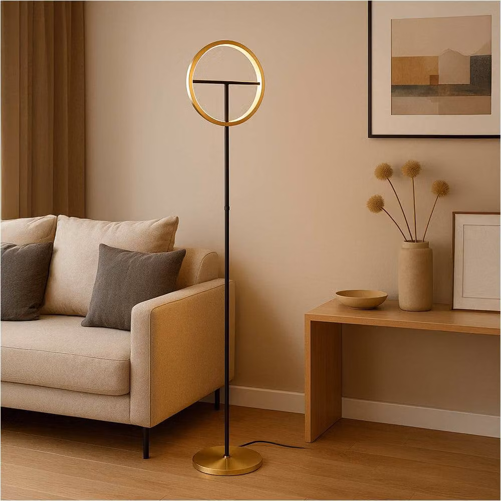 Loops 2 Pack Modern LED Ring Floor Lamp in Brushed Brass and Black – 2