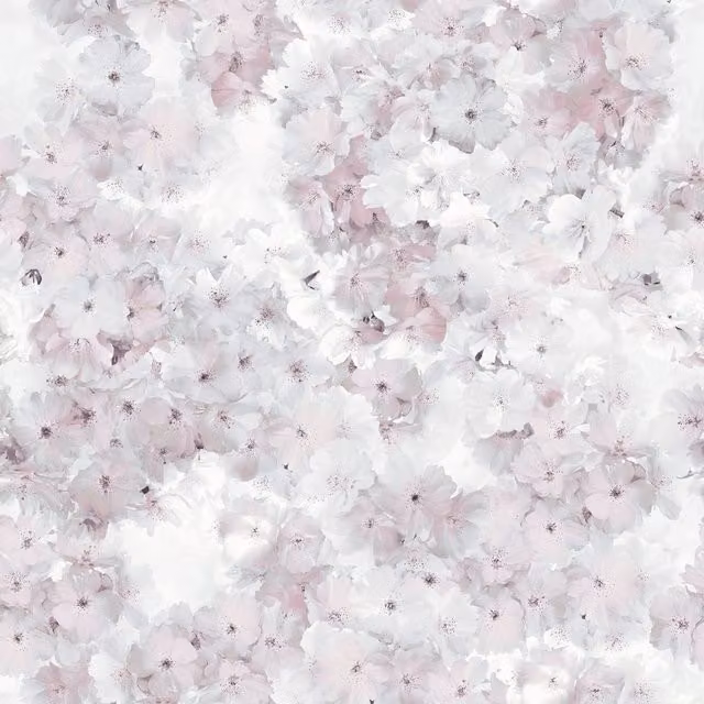 Muriva Apple Blossom Floral Botanical Wallpaper in Pink