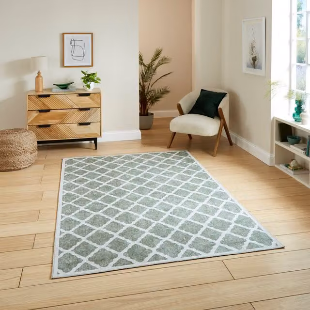Terrys Green Geometric Modern Rectangular Flat Weave Washable Polyester Rug