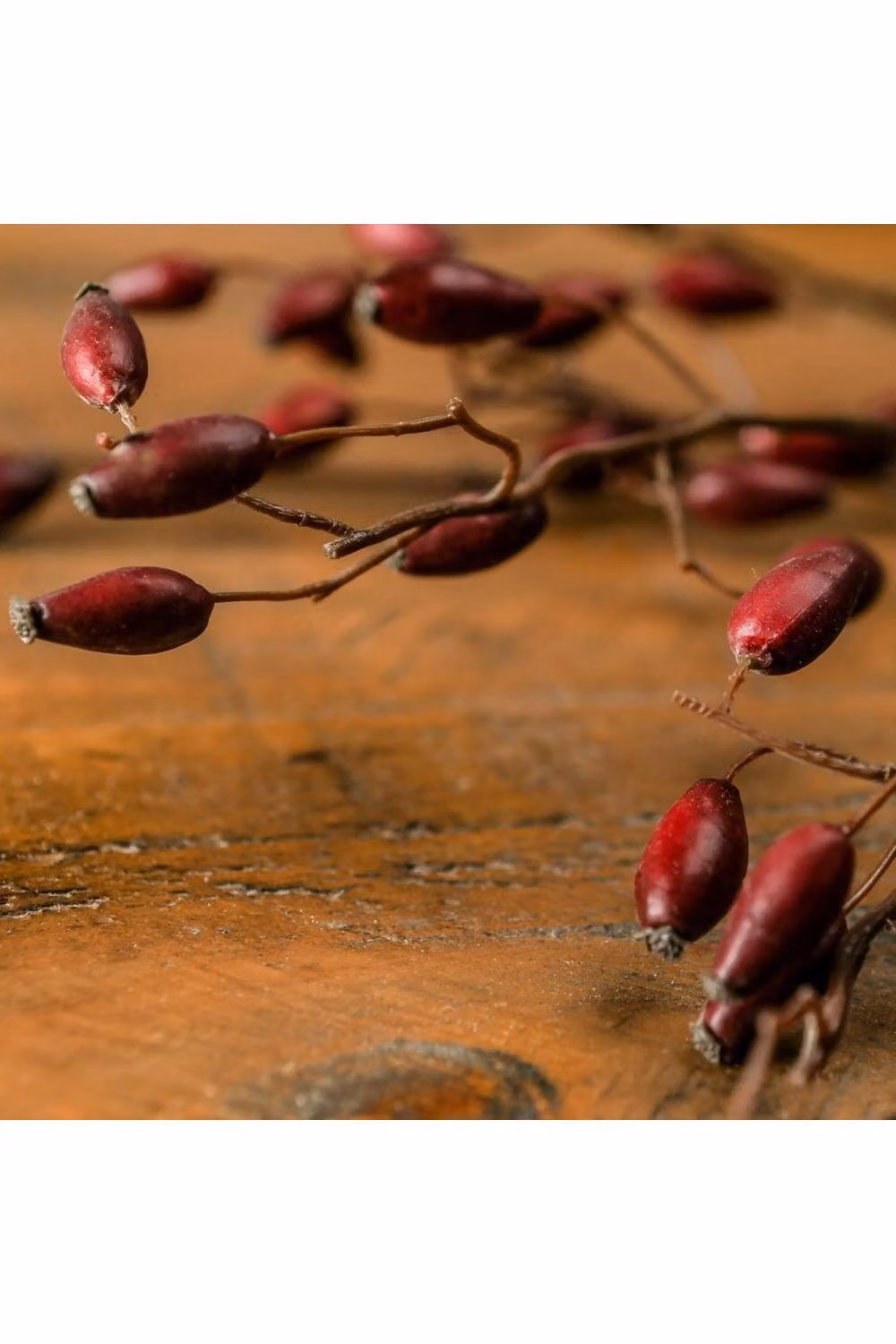 KDMD Burgundy Rosehip Stem for Autumn and Winter Floral Arrangements in Red – 2