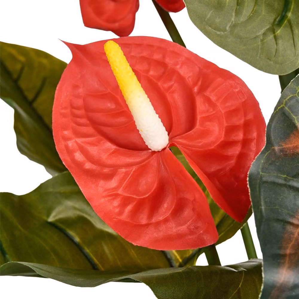 Wyld and Coco Artificial Anthurium Green Plant in Concrete Pot, Height: 95 cm – 2
