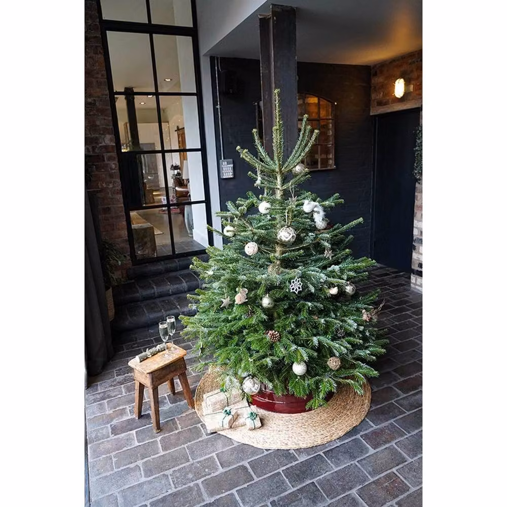 Lemon Pavilion Seagrass Christmas Tree Mat, Brown, W: 120 cm, D: 120 cm, H: 1.3 cm – 3