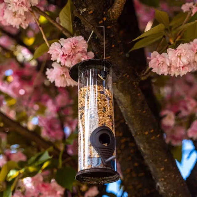 Garden Mile Premium Hammertone Metal Seed Bird Feeder in Green