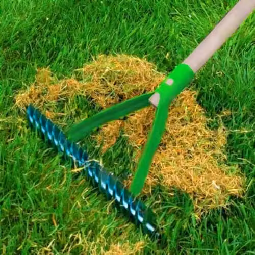 SolaDirect Manual Lawn Aerator Scarifier Head and Dethatching Rake for Moss Removal, Multicolour – 3