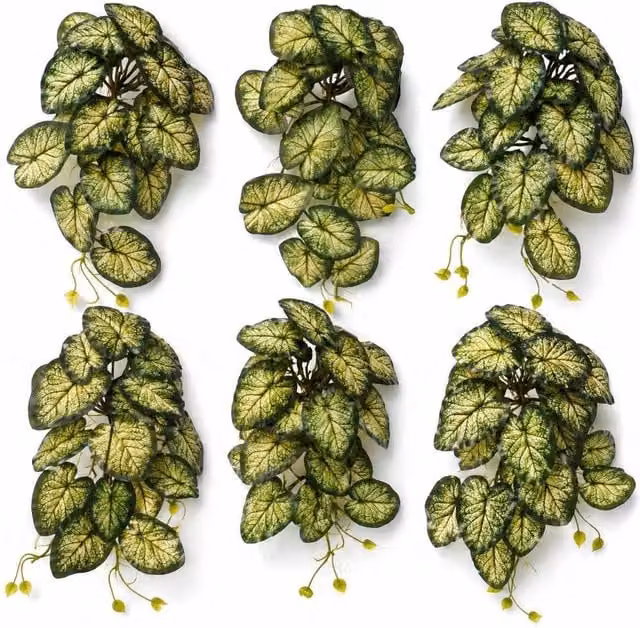 Botanik Pack of 6 Variegated Caladium Hanging Artificial Green Plants